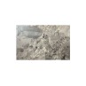 Appia Grey