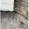 White Patagonia